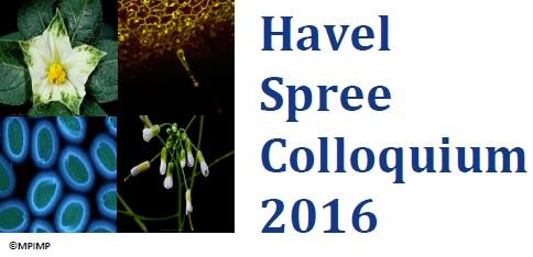 Logo Havel Spree Colloquium 2016