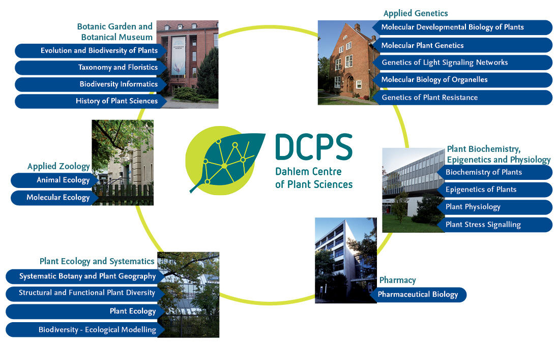 Departments & Research Groups at DCPS
