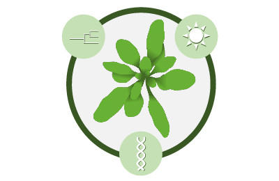 Havel-Spree Colloquium 2019